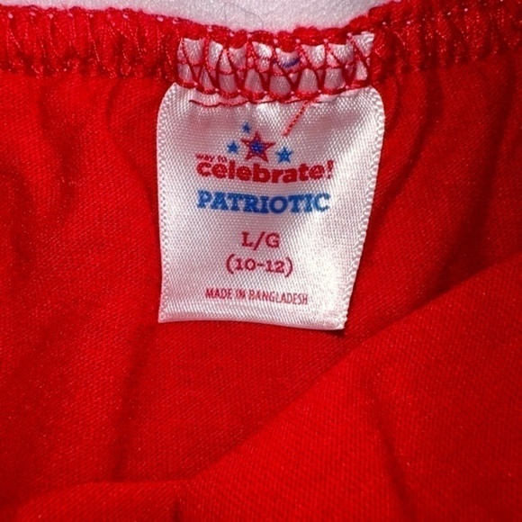 🥀 "Way To Celebrate" Patriotic Girl's Tutu - Picture 3 of 5